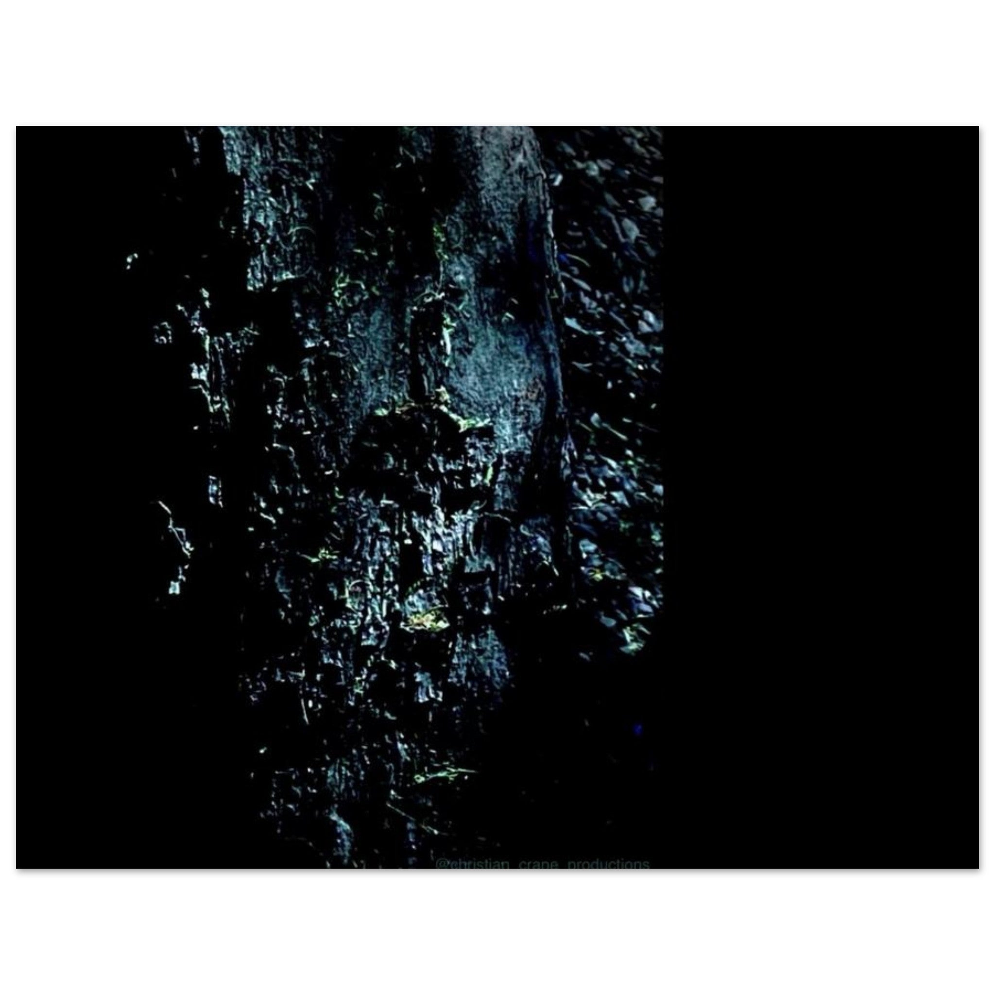 0507c986-ff1d-4de9-b3fa-08dd2117305b