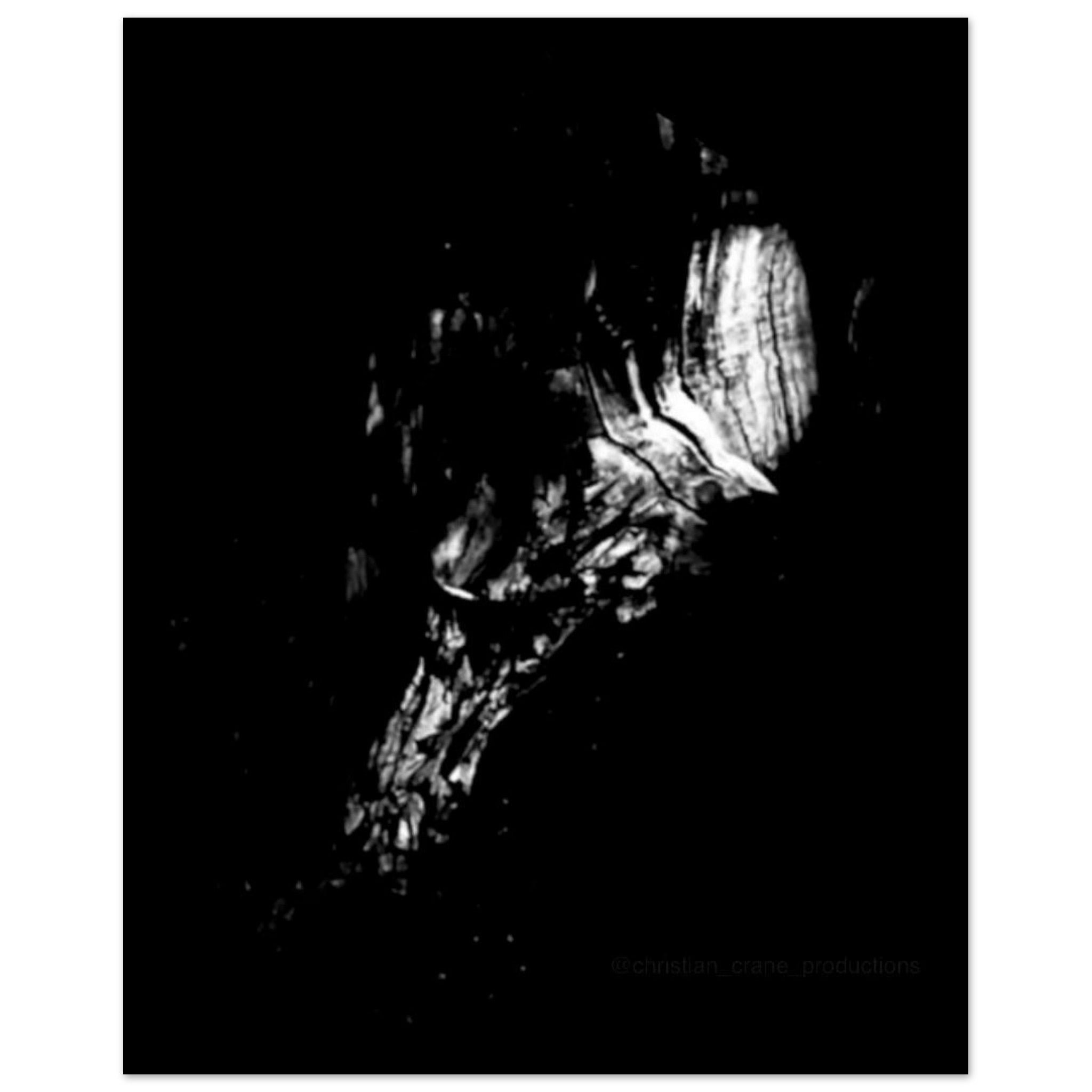 2a7903c5-28dd-40e9-be54-4ae0e9a1c042