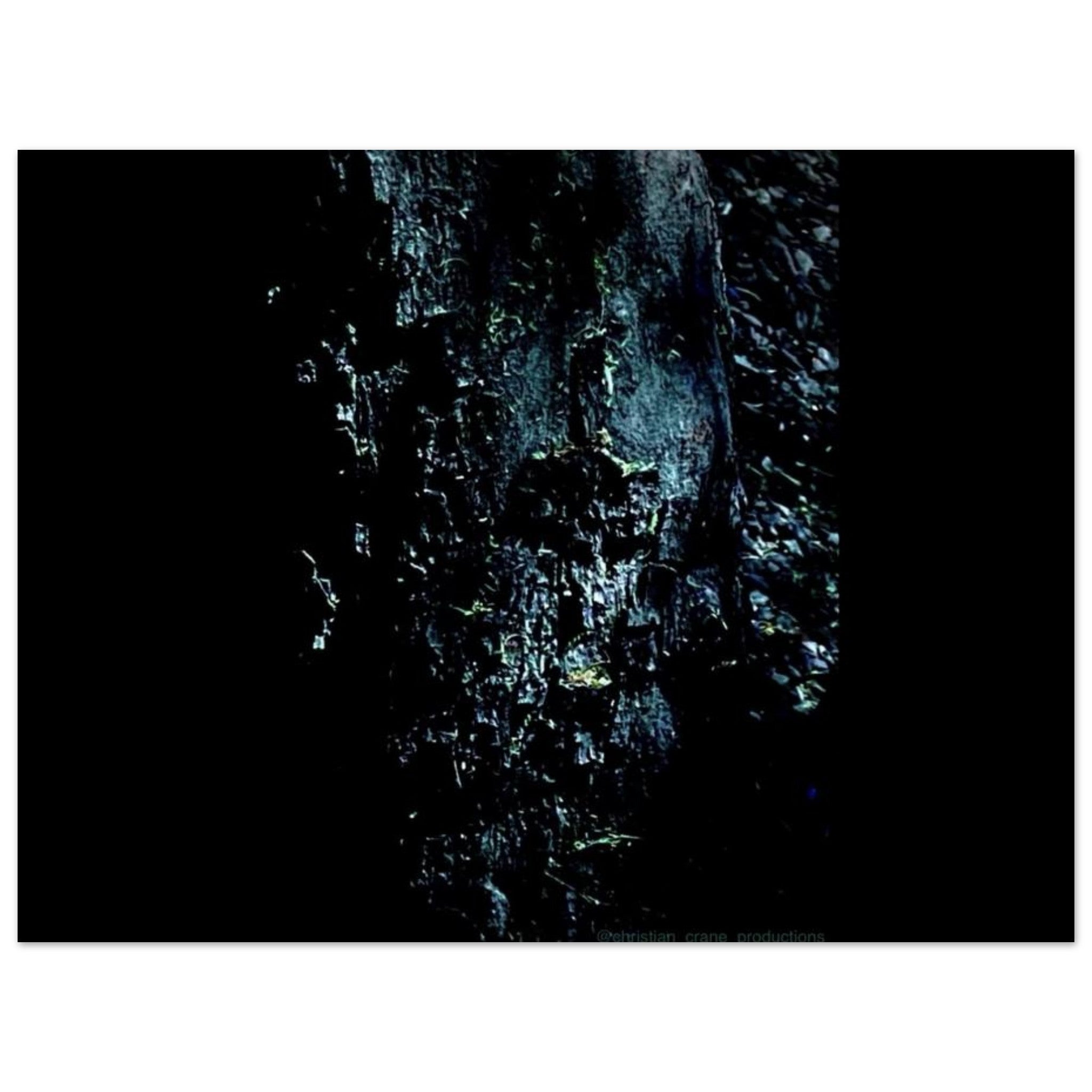 2be6d627-48bc-4cb7-af5d-eaa9df2407fa