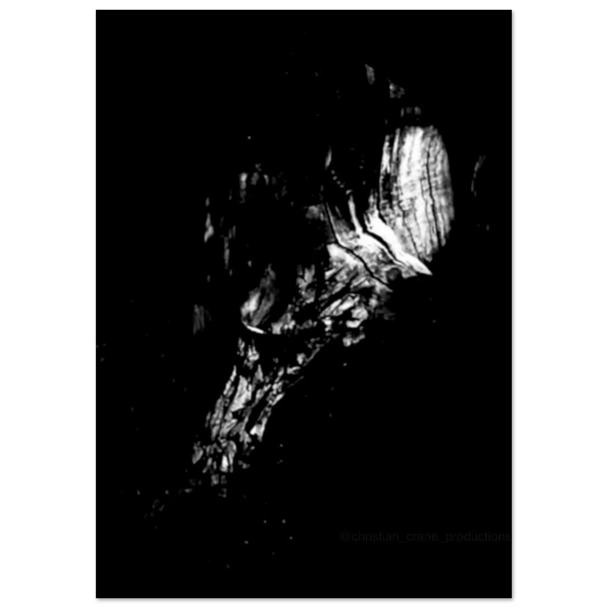 4de9764e-9496-40ba-8555-1563ae2c4424