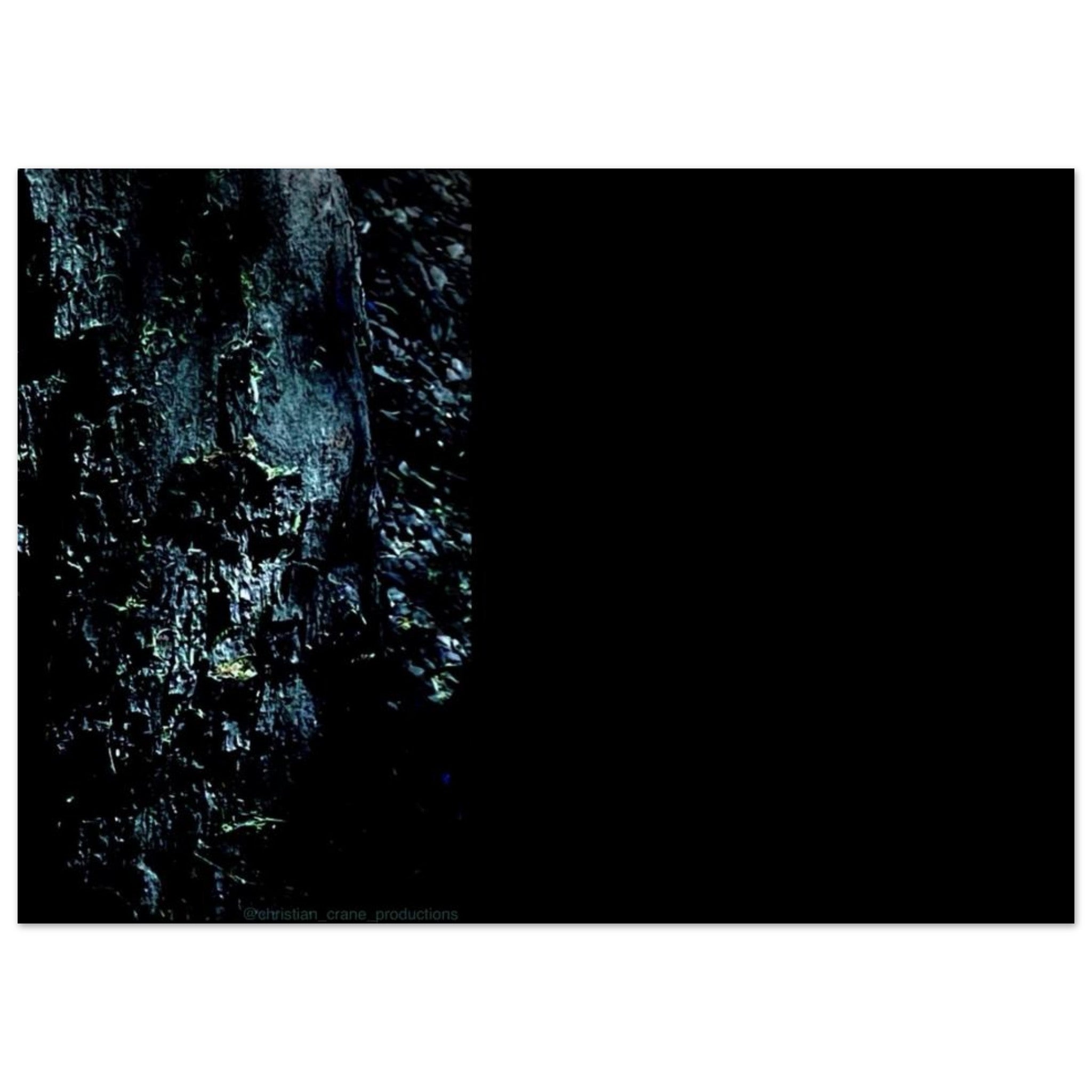 58d01568-abb4-4742-b415-78ebb49f60af