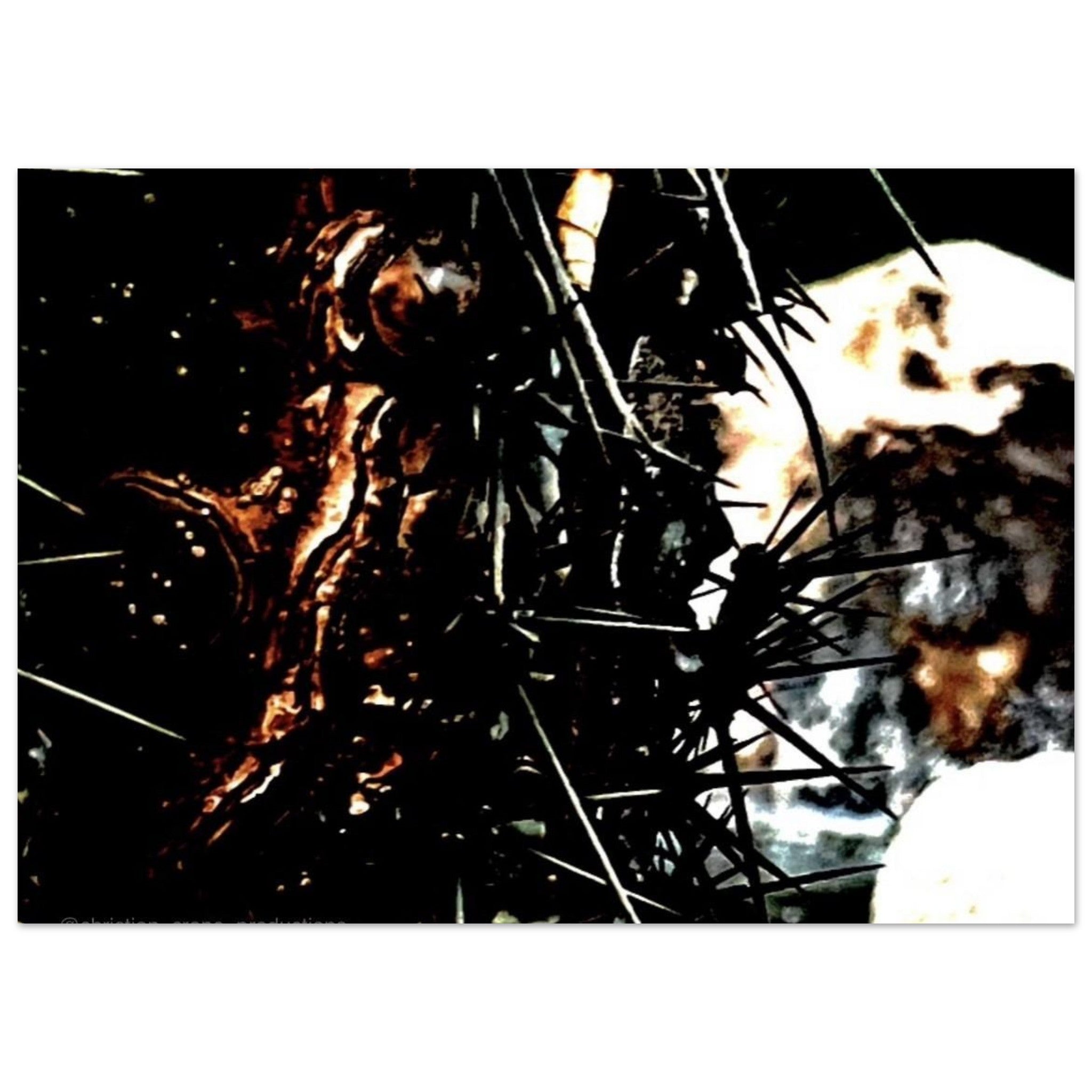 6d4f7e1d-3363-426a-815c-a2bc154b1637