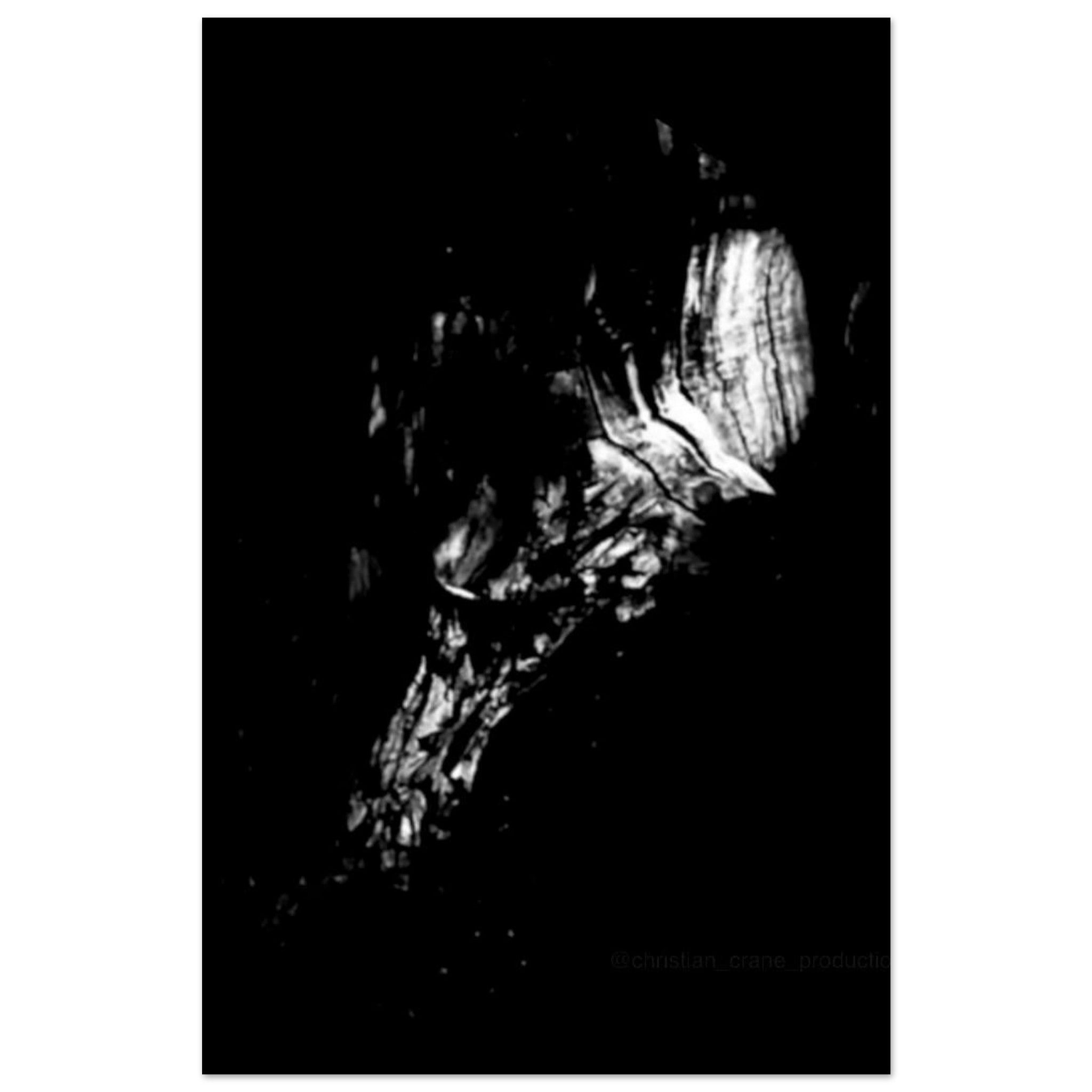 7bdc36a4-b727-4881-8d4a-e937e07f32e4