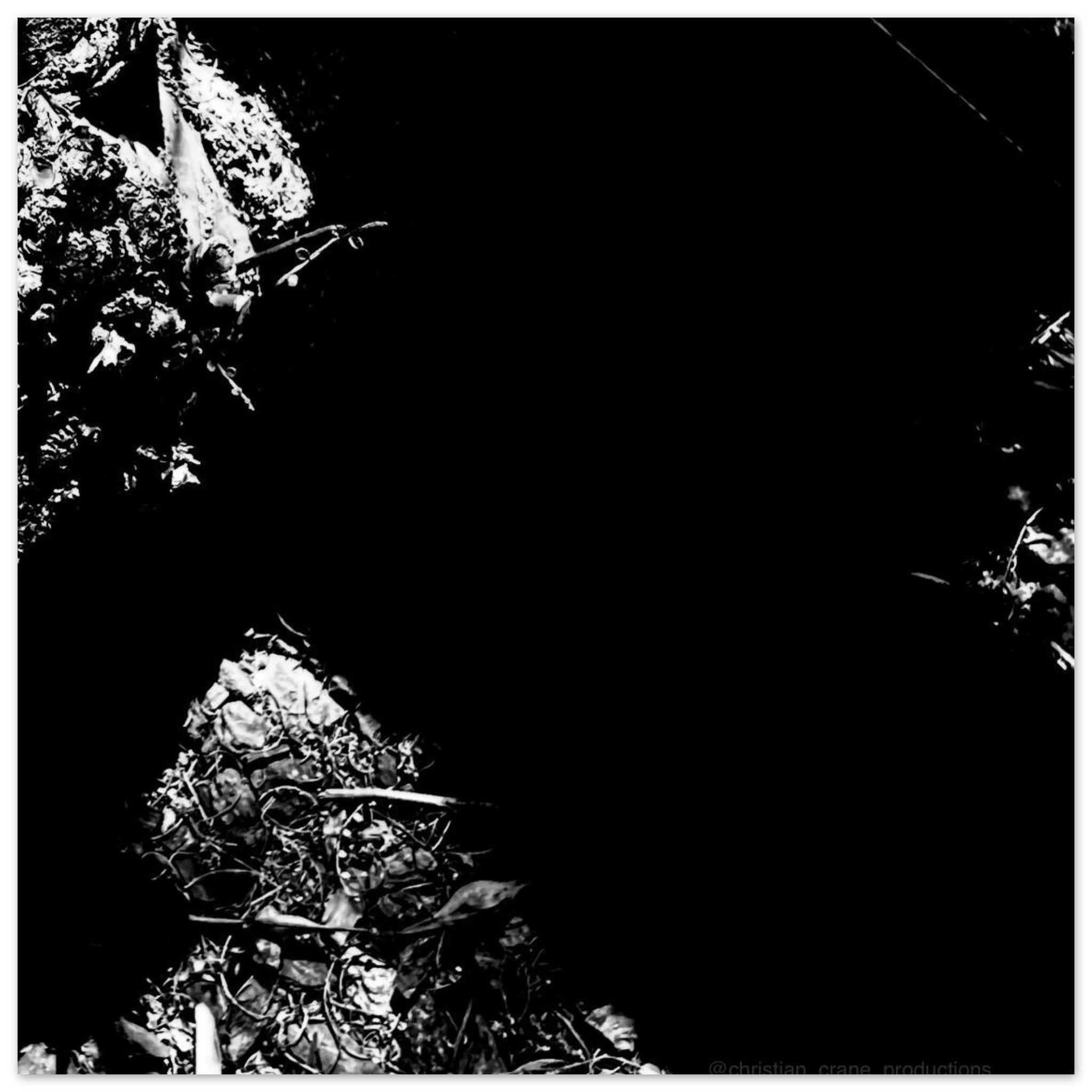 8b7e767d-f4e1-4c29-8811-5b89981fd1d1