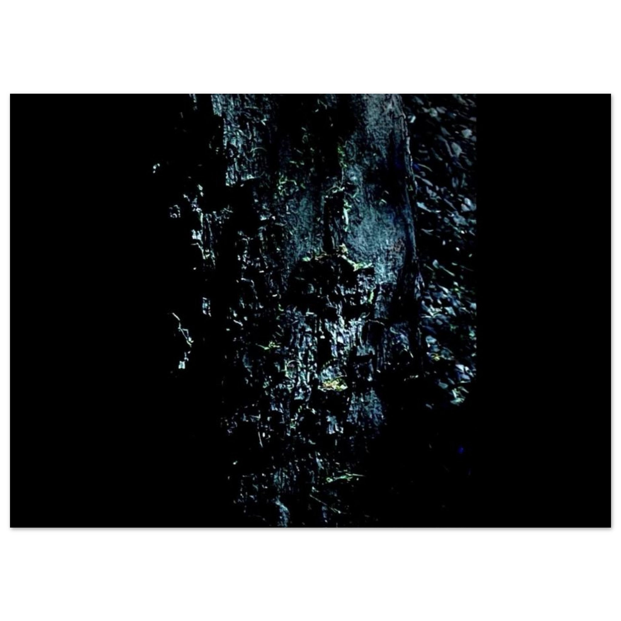 e1be73c9-4d34-44b8-ba92-fa2adbc0456b