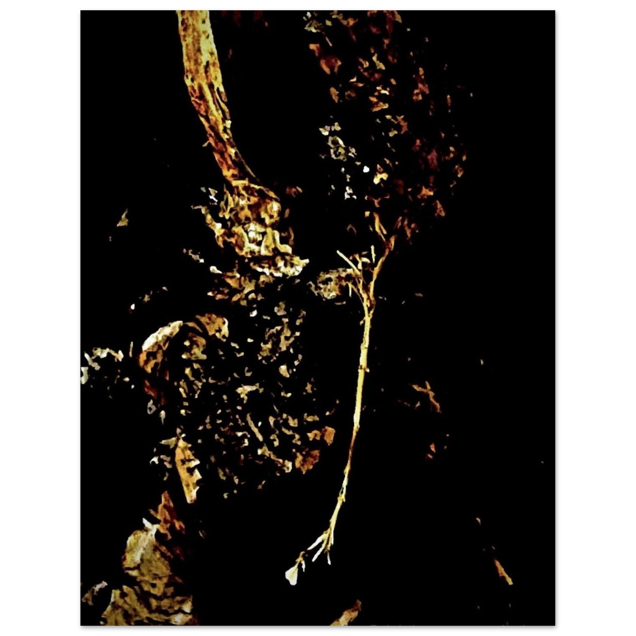 f7054751-2092-4991-a674-69c50ff2540d